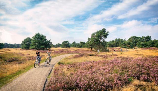 Sfeervol Chalet Op De Veluwe Путен Екстериор снимка