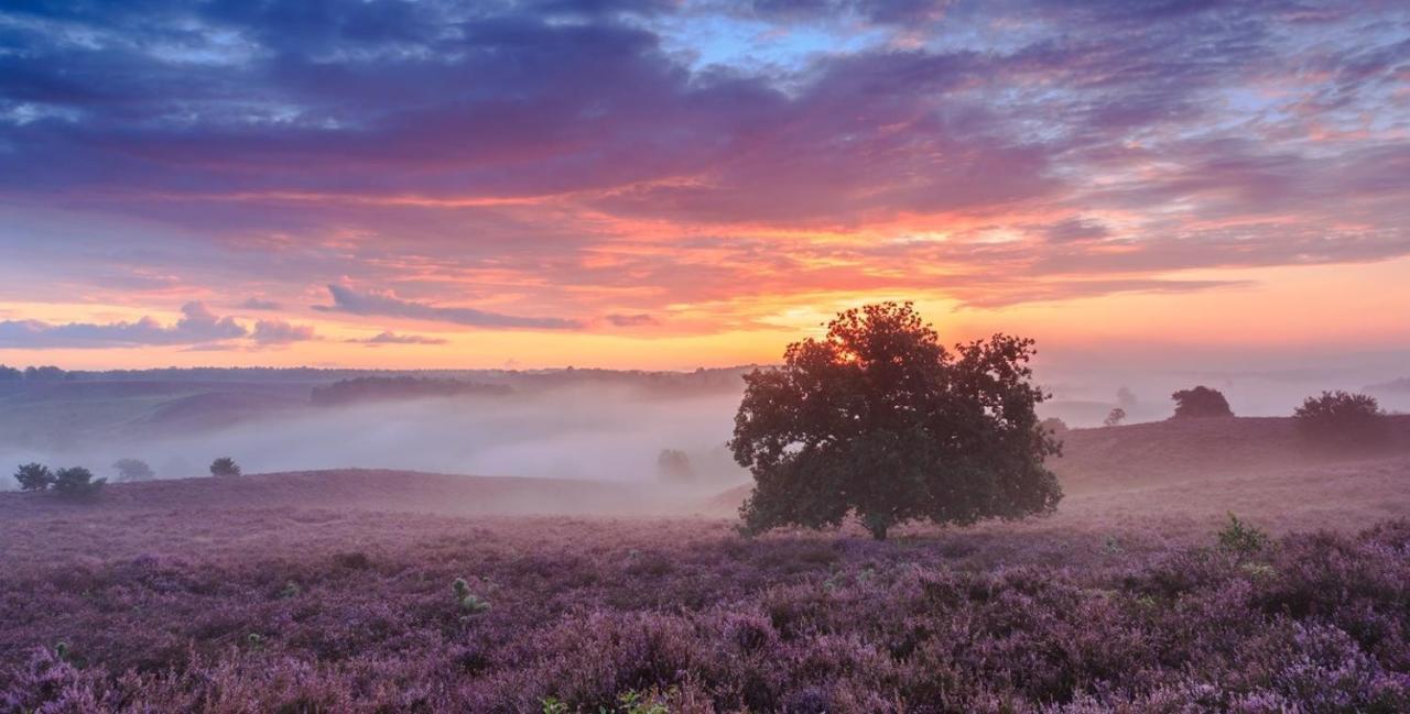 Sfeervol Chalet Op De Veluwe Путен Екстериор снимка